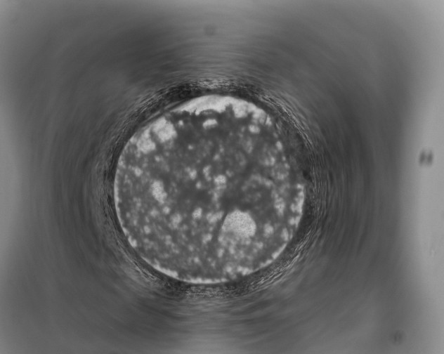 X0000098010817200804251112