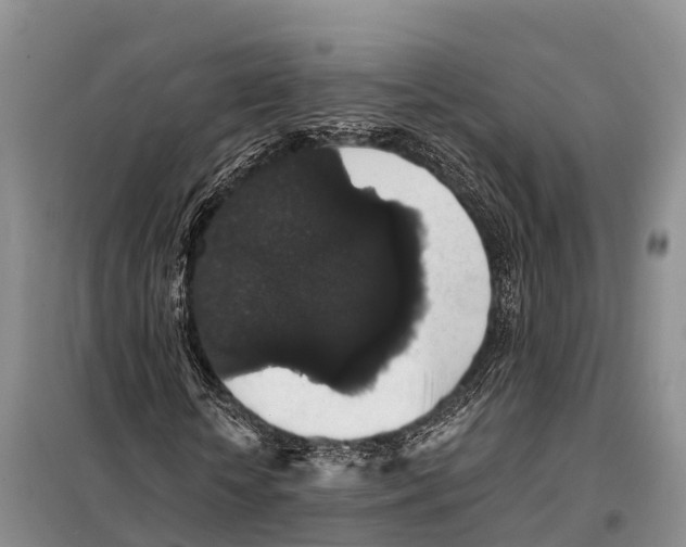 X0000098010818200804251112