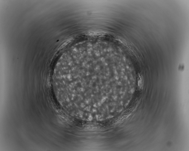 X0000098010819200804251112