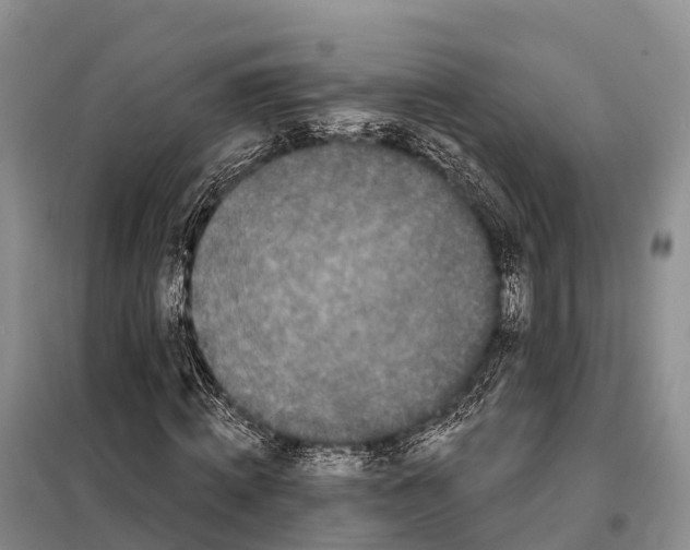 X0000098010820200804251112