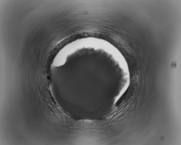 X0000098010822200804251112