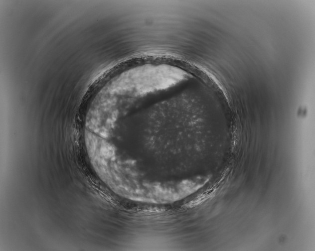 X0000098010823200804251112