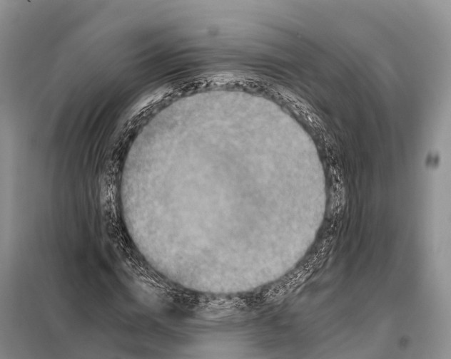 X0000098010824200804251112