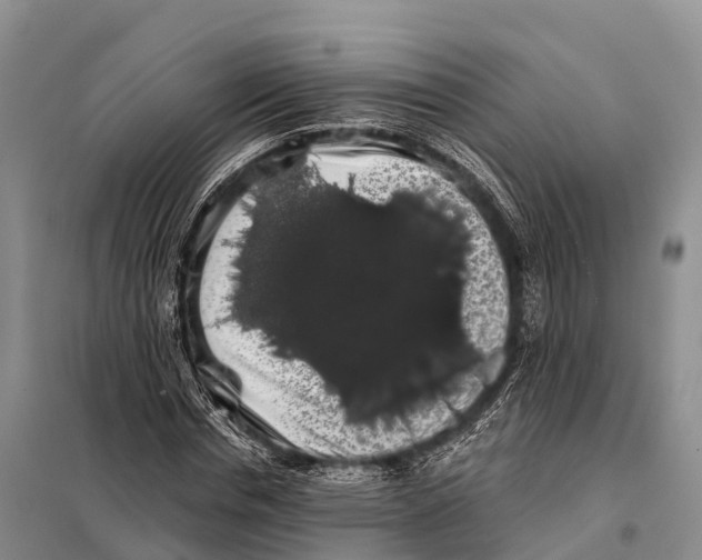 X0000098010826200804251112