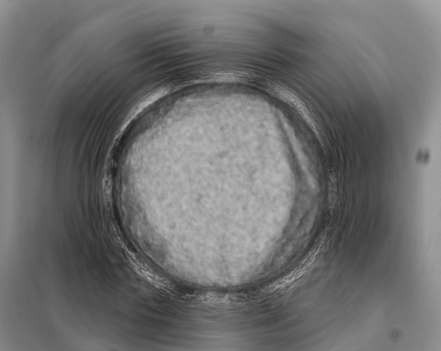 X0000098010827200804251112