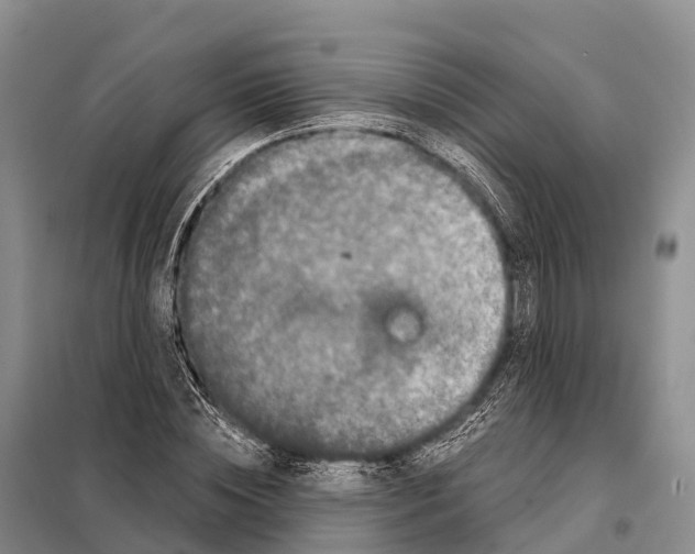 X0000098010828200804251112