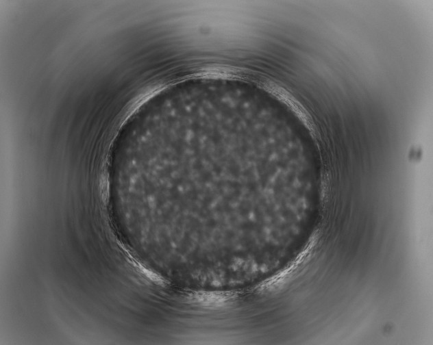 X0000098010829200804251112