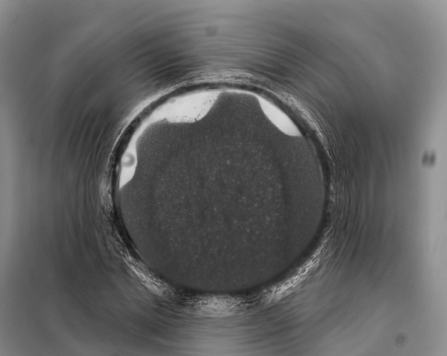 X0000098010830200804251112