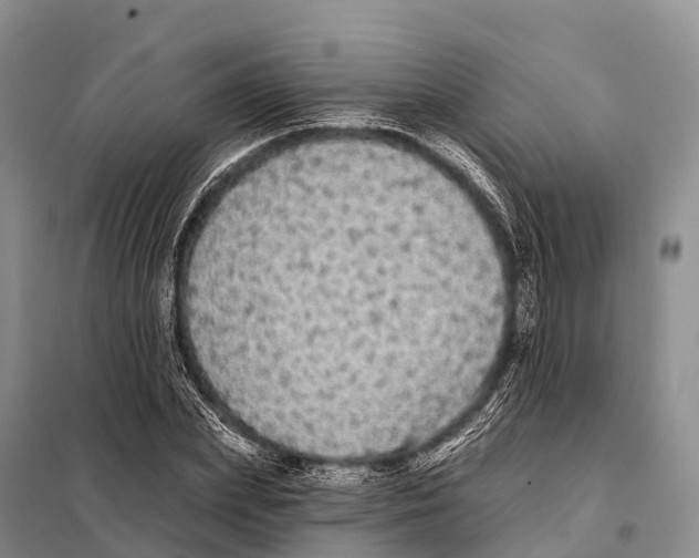 X0000098010831200804251112