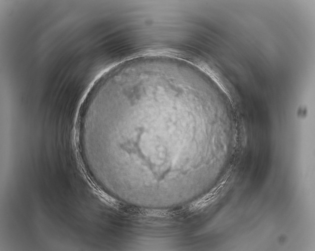 X0000098010832200804251112