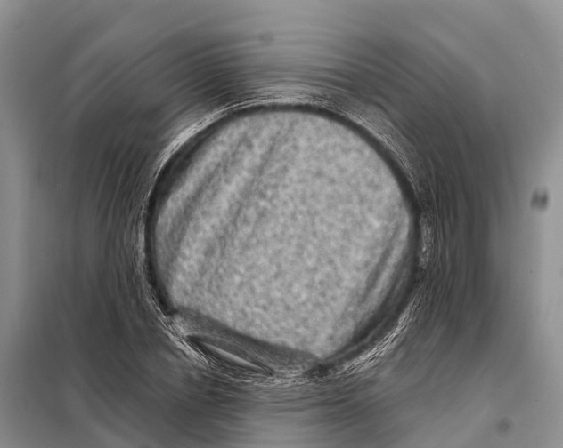 X0000098010834200804251112