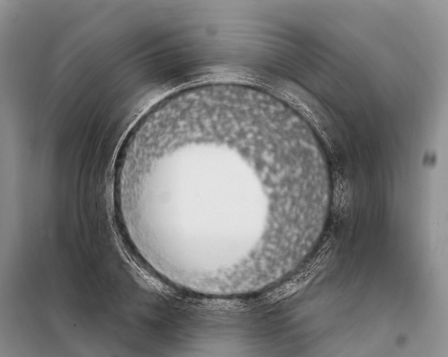 X0000098010836200804251112