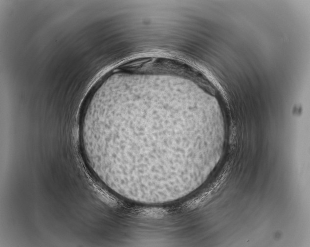 X0000098010837200804251112