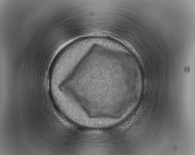 X0000098010838200804251112