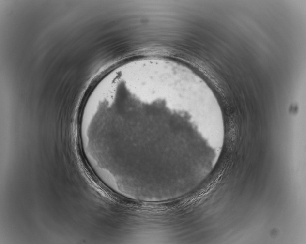 X0000098010840200804251112