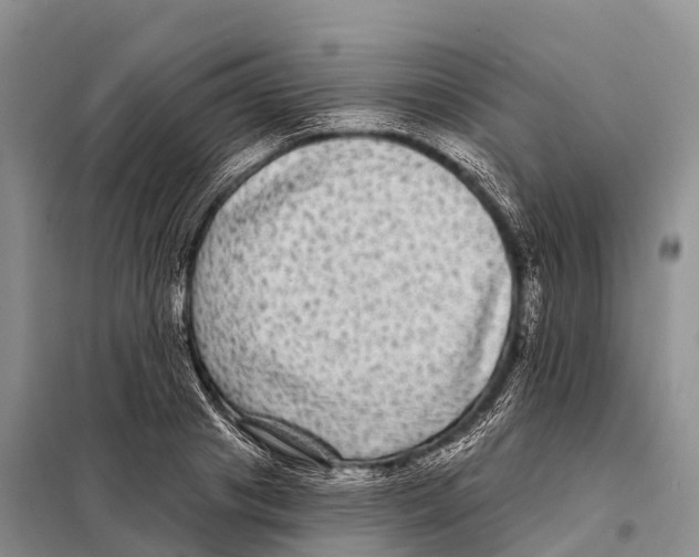 X0000098010841200804251112