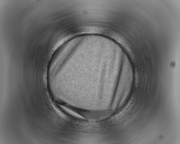 X0000098010842200804251112