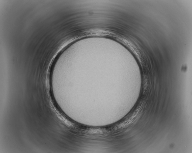 X0000098010843200804251112