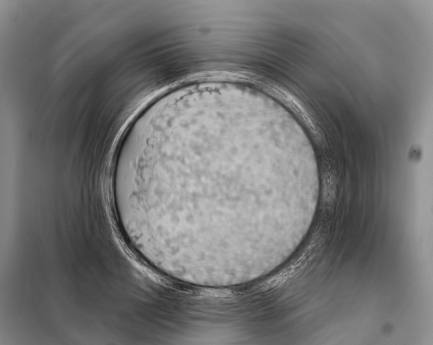 X0000098010844200804251112