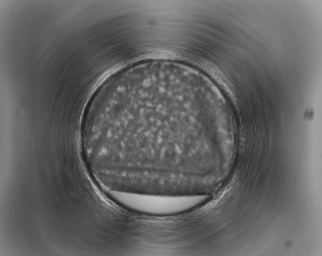 X0000098010845200804251112