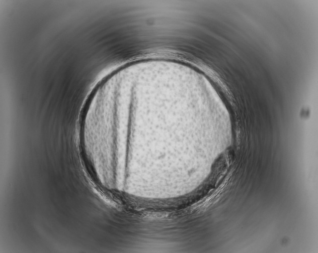 X0000098010846200804251112