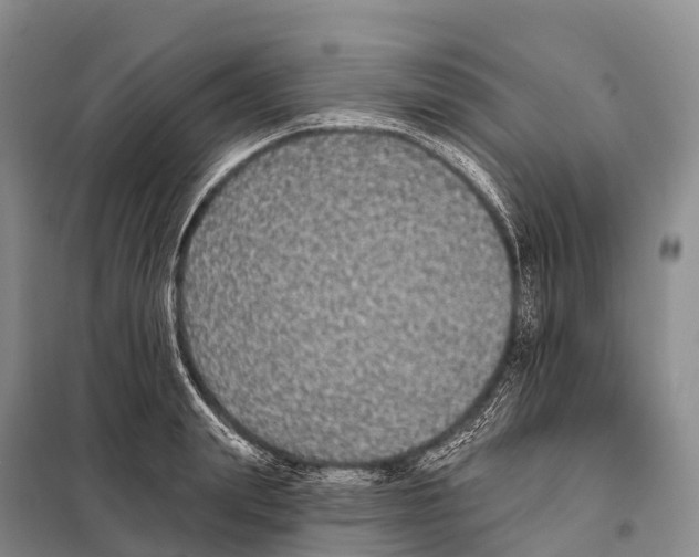 X0000098010847200804251112