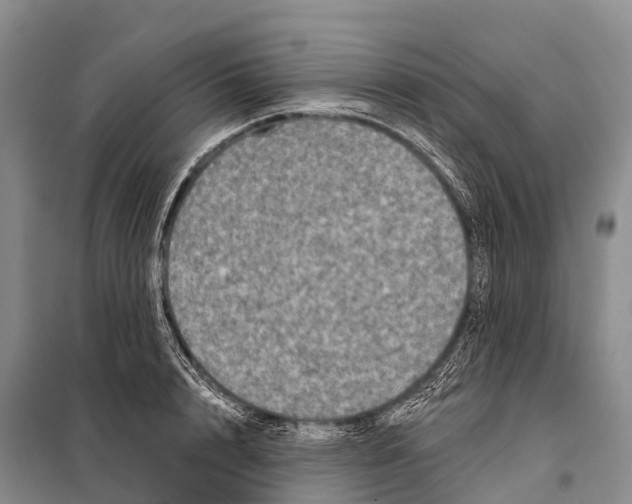 X0000098010848200804251113