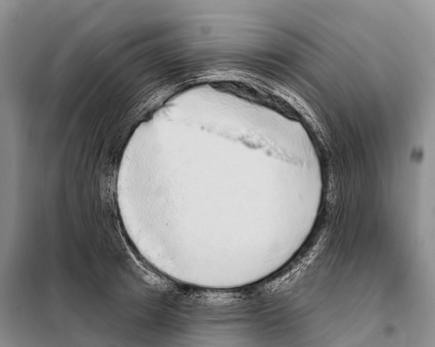 X0000098010849200804251113