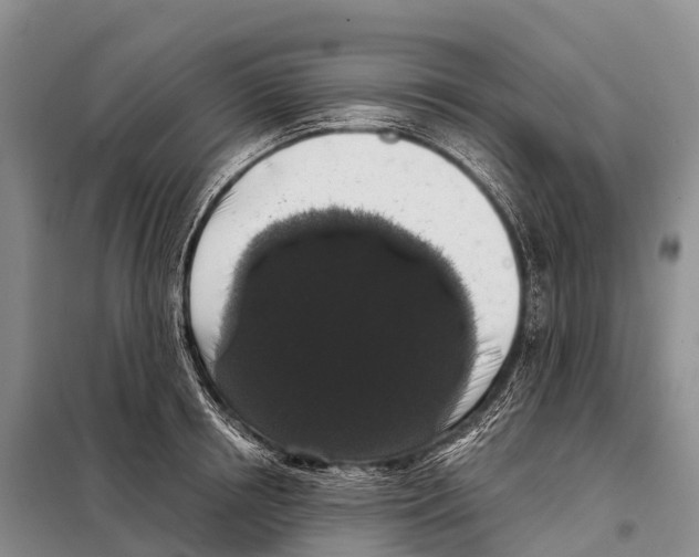 X0000098010850200804251113