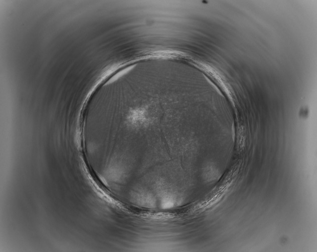 X0000098010851200804251113