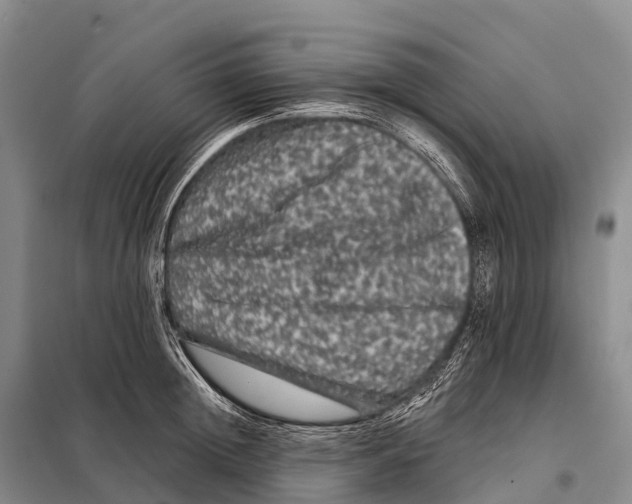 X0000098010852200804251113