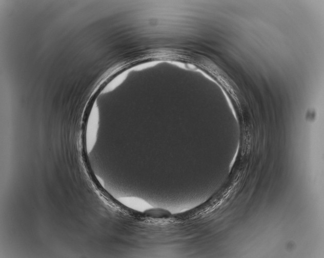 X0000098010853200804251113