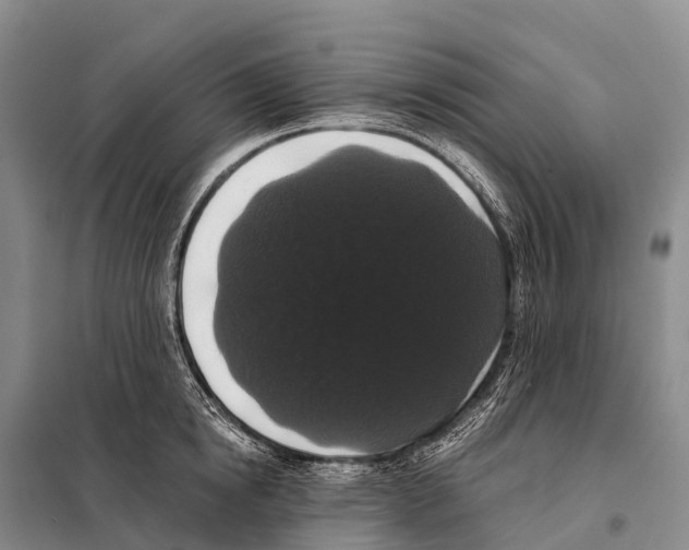 X0000098010854200804251113