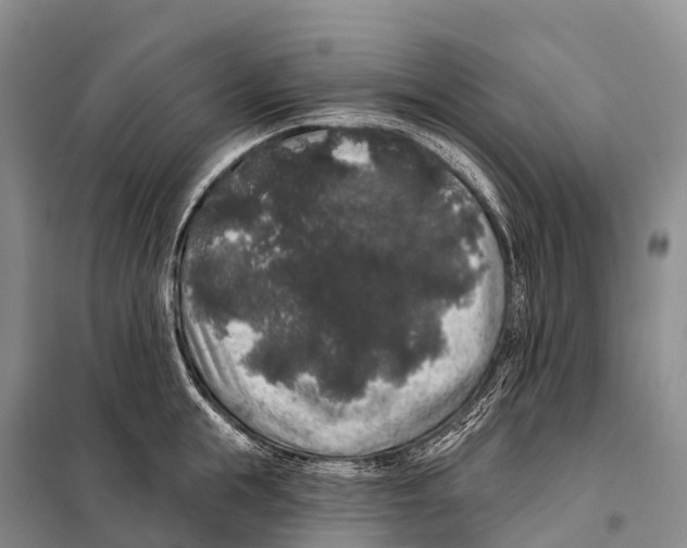 X0000098010855200804251113