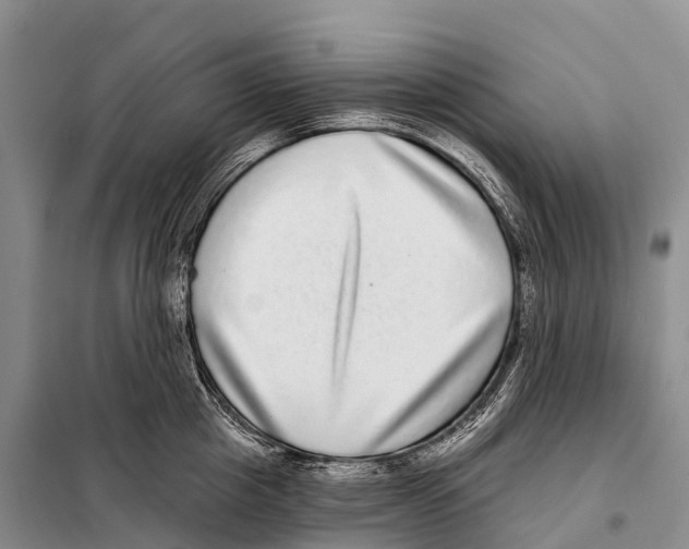 X0000098010857200804251113