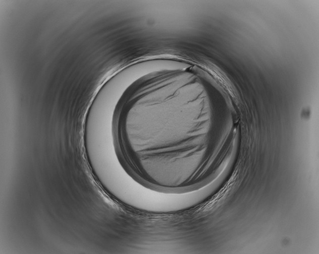 X0000098010858200804251113