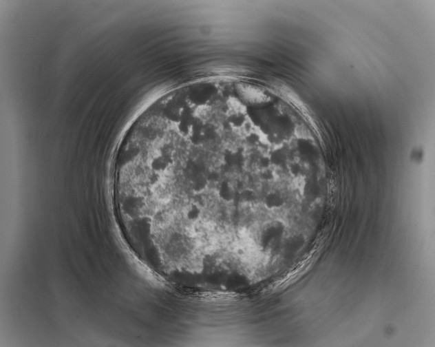 X0000098010859200804251113