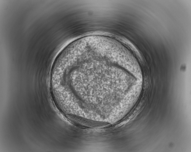 X0000098010860200804251113