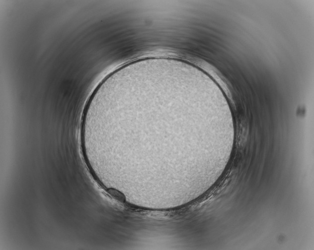 X0000098010861200804251113