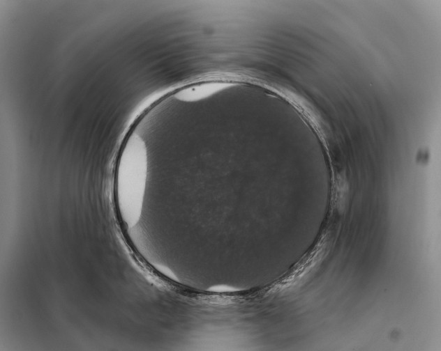 X0000098010862200804251113