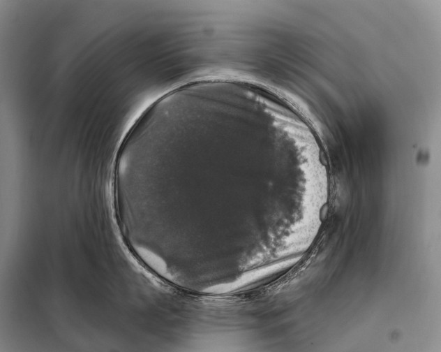 X0000098010863200804251113