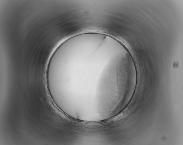 X0000098010864200804251113