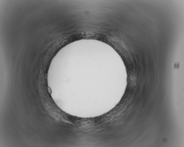 X0000098010865200804251112