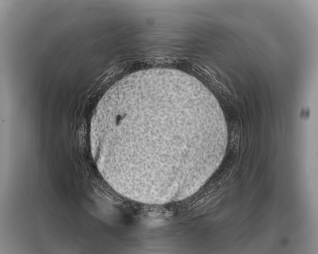 X0000098010866200804251112