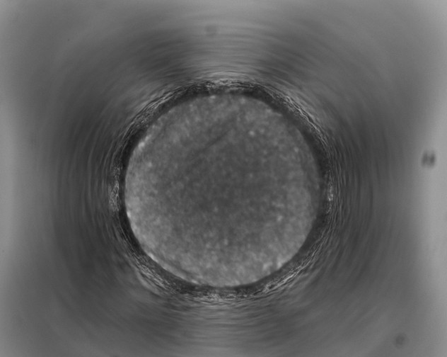 X0000098010868200804251112