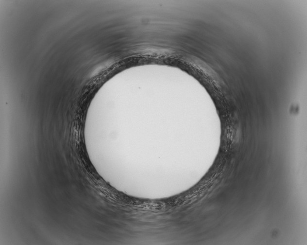 X0000098010869200804251112