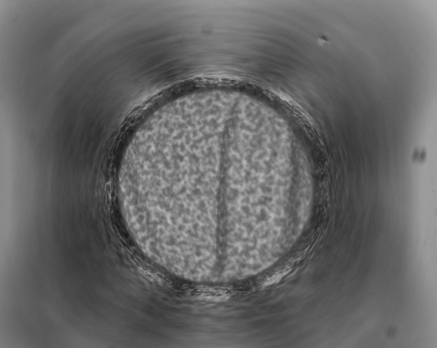 X0000098010870200804251112