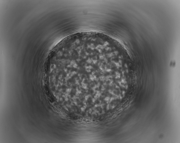 X0000098010871200804251112