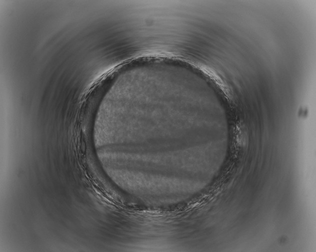 X0000098010872200804251112