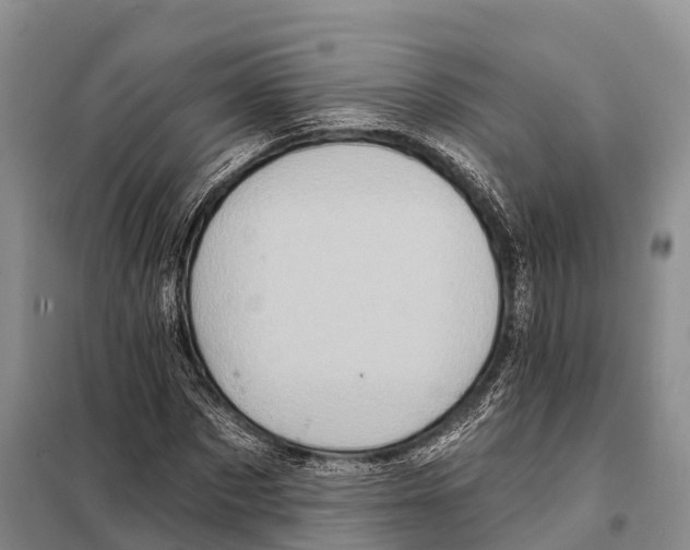 X0000098010873200804251112